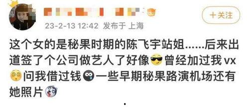 陈飞宇爆料后续事件视频,揭秘事件背后真相与影响